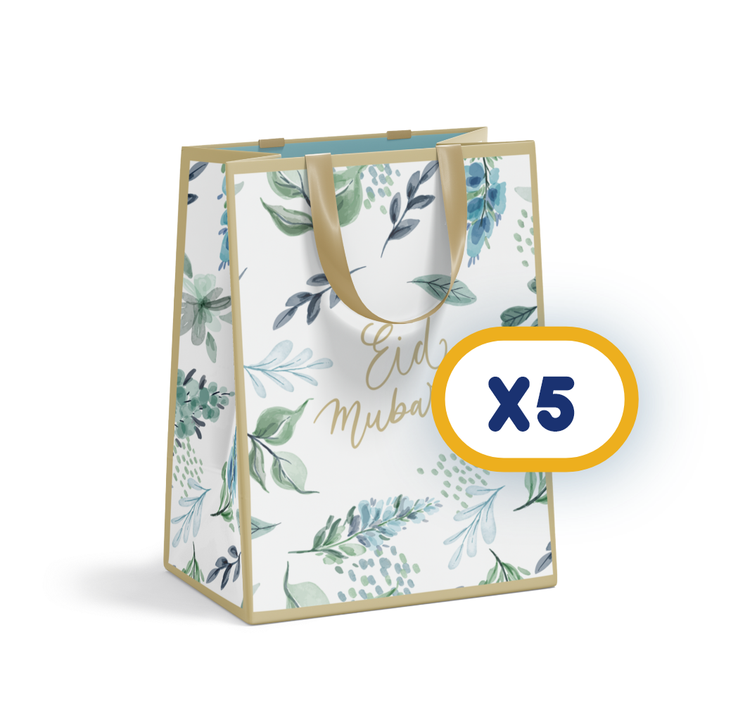 Sacs cadeaux x 5